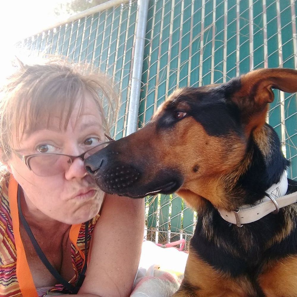 Meet your Posher, Jodi